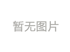 食物语是哪个公司的游戏：游戏公司介绍